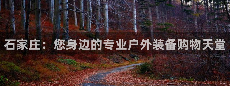 富邦娱乐官网登录