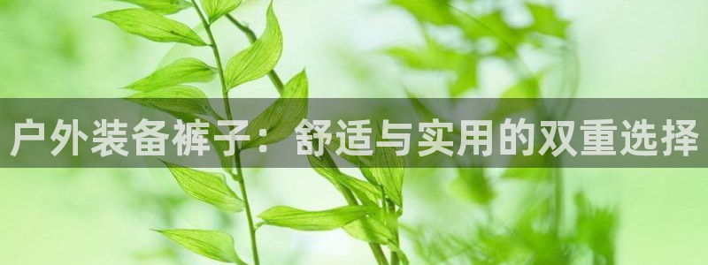 富邦娱乐彩票官网