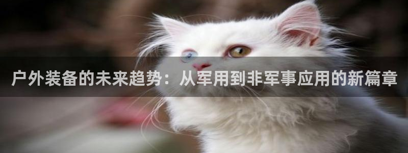 富邦美业势不可挡娱乐