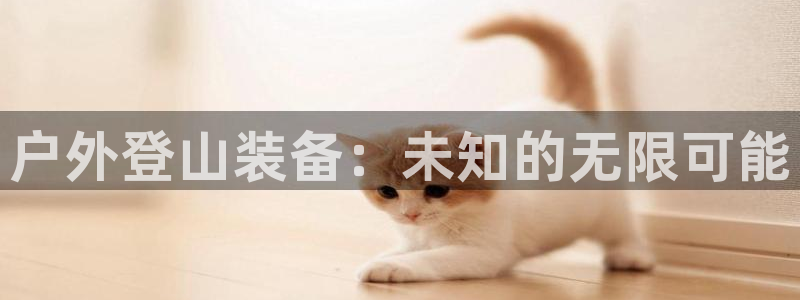 富邦娱乐网