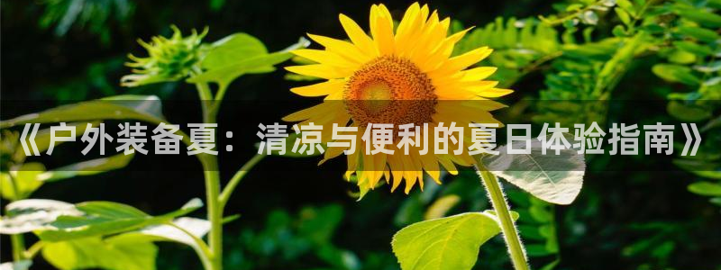 富邦佳丽娱乐厅