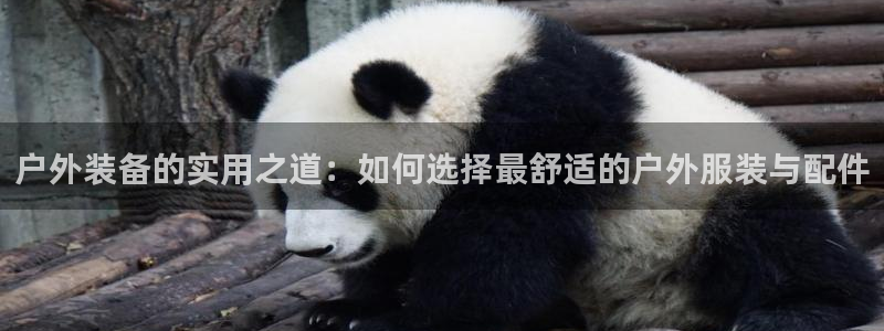 上海邦富娱乐有限公司