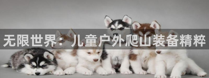 富邦娱乐国际