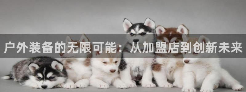 富邦娱乐登入上银狐网