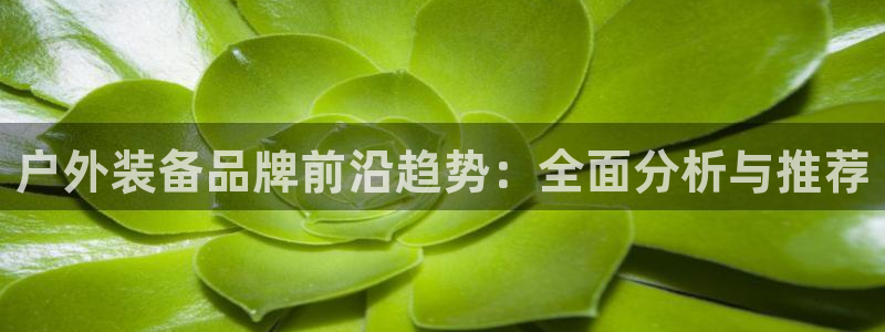 澳门富邦线上娱乐平台