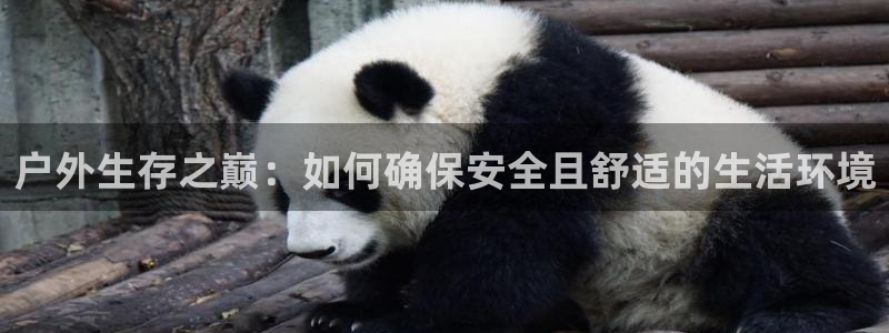 富邦娱乐app官方下载