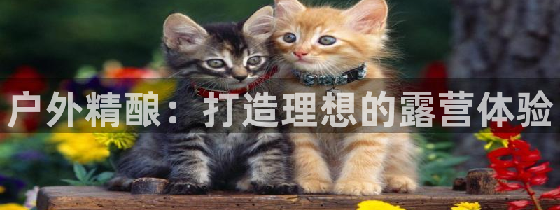 富邦娱乐官网登录