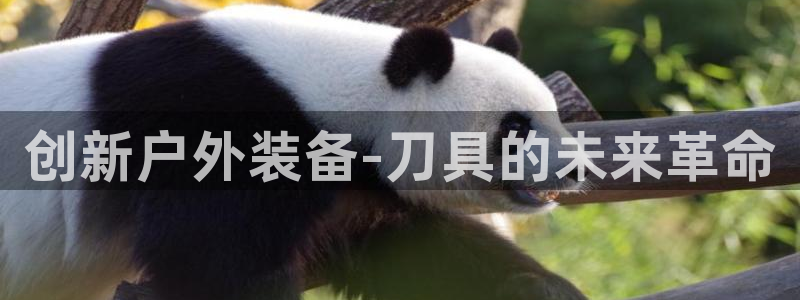 富邦娱乐app那里下载