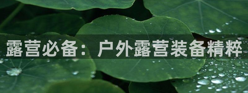 富邦娱乐大厅优惠活动