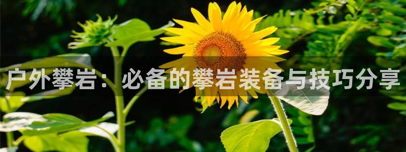 富邦娱乐场官方下载