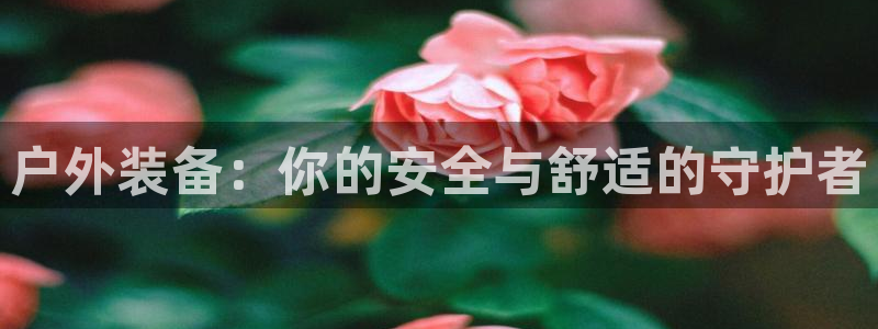 富邦娱乐团购卡怎么用