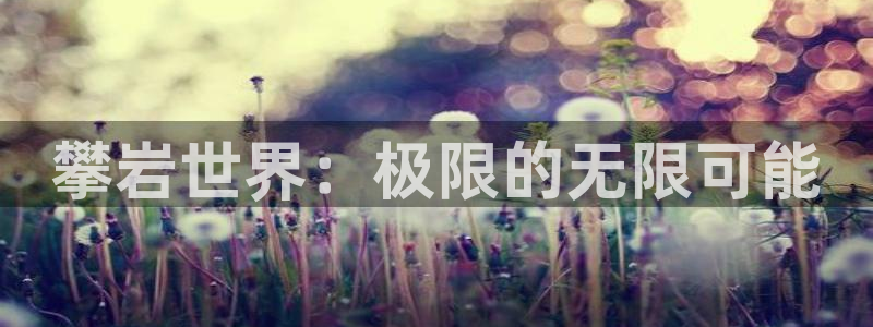 菲律宾富邦娱乐