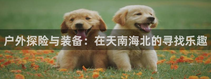 富邦娱乐老品牌