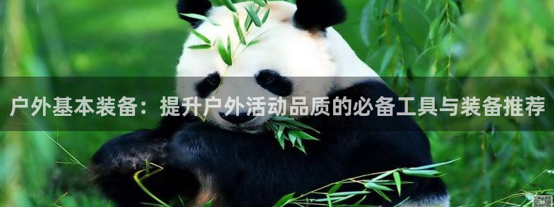 富邦娱乐官网 全礴网