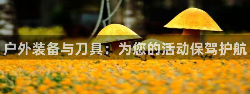 富邦娱乐被风控怎么办