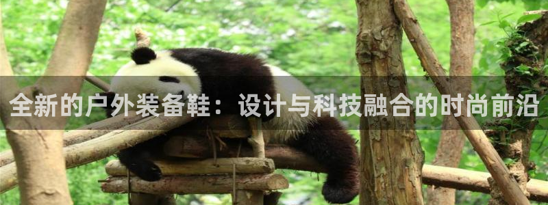 富邦 娱乐 平台