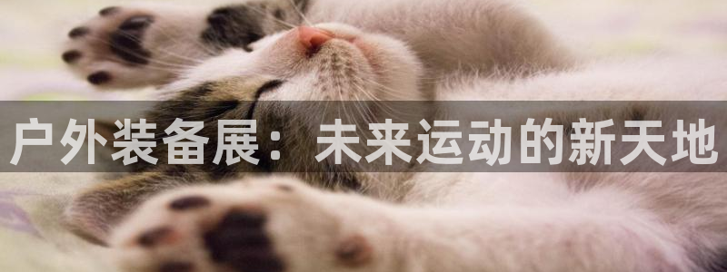 富邦娱乐官网 全礴网