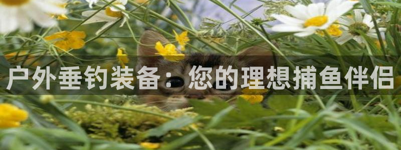 富邦娱乐怎么样