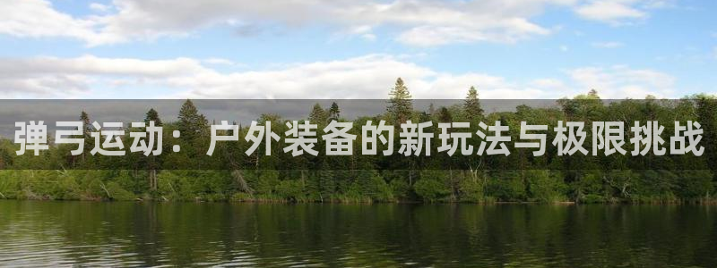 富邦娱乐 上鼎狐网