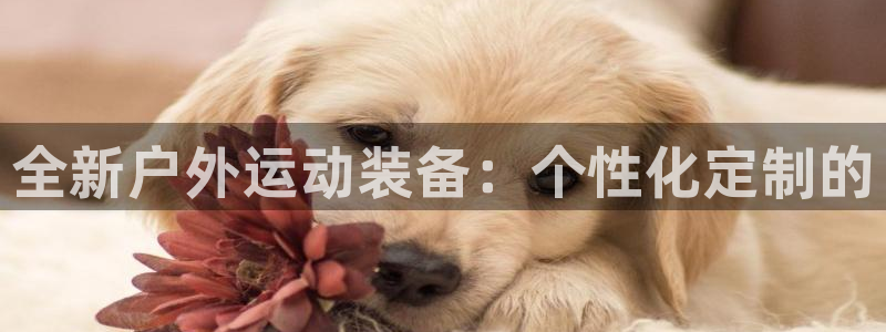 菲律宾富邦娱乐