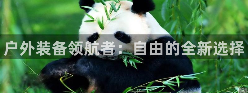 富邦广场北仑娱乐