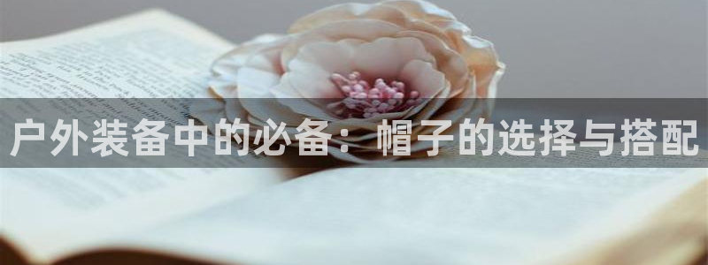 富邦 娱乐 花花公子