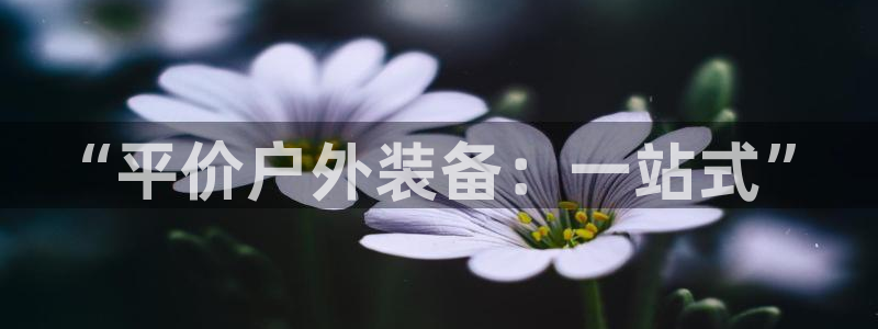 富邦娱乐-上全狐网